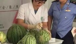 林冉吃瓜群众,吃瓜群众的视角，揭秘娱乐圈风云