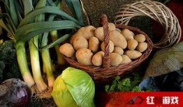 臭屁弹吃瓜,揭秘网络热梗背后的趣味与争议