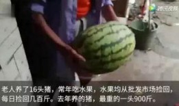 某网友专业吃瓜,专业吃瓜背后的故事与真相