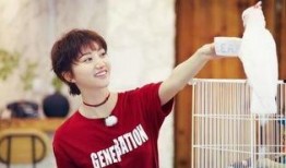 吃瓜人王源,吃瓜界的明星，揭秘娱乐圈幕后故事