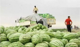 吃瓜会影响长高吗,吃瓜真的会影响长高？揭秘瓜果与生长发育的奥秘