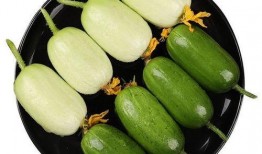 山顶上栽瓜能有瓜吃吗,挑战极限的农业奇观与收获之谜