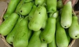 海南葫芦瓜怎么吃,海南葫芦瓜的多样食法探索