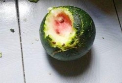 离普吃瓜,揭秘娱乐圈背后的真实故事