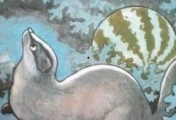 猹吃的瓜,探寻瓜果美食的奥秘