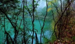 藤萝青山还是吃瓜亭,探寻隐秘山林中的世外桃源