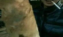 大神吃瓜视频,娱乐圈幕后真相大曝光