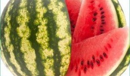 每天吃西瓜哈密瓜,西瓜与哈密瓜的甜蜜日常
