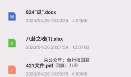 鄂州吃瓜文件 迅雷,揭秘背后真相与反思