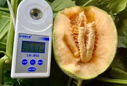 吃瓜热门合集,盘点娱乐圈最新最热话题