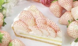 吃瓜纯白,揭秘网络红人的幕后故事