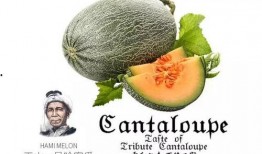 吃瓜群众99号,揭秘娱乐圈幕后真相