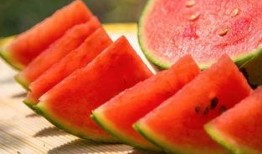 吃瓜西科大,一场校园文化的盛宴