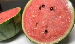 吃瓜像什么,揭秘网络时代的“瓜”文化现象