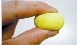 君安吃瓜,揭秘娱乐圈幕后故事