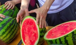 重庆大学吃瓜,吃瓜群众揭秘校园美食传奇
