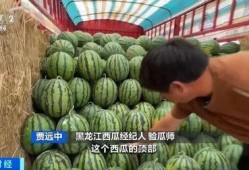 湖师文理吃瓜,吃瓜群众揭秘校园热点