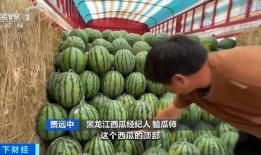 湖师文理吃瓜,吃瓜群众揭秘校园热点