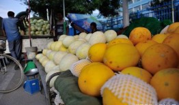 吃黄河蜜瓜上火