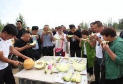 吃老汉瓜图片,老汉瓜图中的田园风情