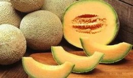 选择吃哈密瓜,哈密瓜的诱惑之旅