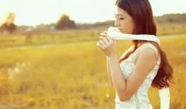 吃瓜夫人5,揭秘娱乐圈背后的秘密与真相