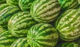 在线吃瓜壁纸,在线吃瓜壁纸，解锁夏日清凉新姿势