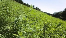 君安吃瓜,揭秘娱乐圈幕后故事