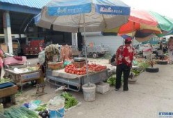 摆摊小贩吃瓜视频