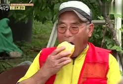 韩综吃瓜的人,一场娱乐与现实的交织盛宴