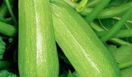 dyx吃瓜,揭秘娱乐圈那些不为人知的幕后故事