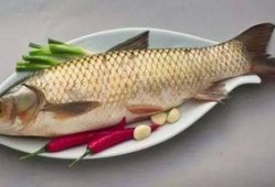 哈密瓜和鱼能一起吃吗,揭秘能否同食的饮食奥秘