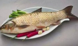 哈密瓜和鱼能一起吃吗,揭秘能否同食的饮食奥秘