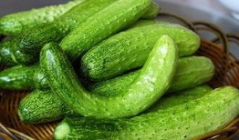 孙莎莎吃瓜,揭秘娱乐圈幕后故事