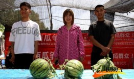 吃瓜专用照片高清,捕捉生活百态的趣味瞬间