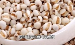 瓜宝吃泥螺,瓜宝的泥螺美食之旅