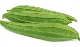 吃瓜通便正常吗,揭秘日常饮食中的健康秘密