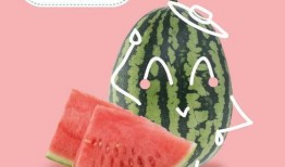 健康的吃瓜,如何科学吃瓜养生