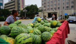 去买瓜吃,去哪儿买瓜吃最划算？