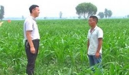 村干部吃瓜爆料,揭秘乡村里的那些事儿