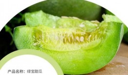 每天吃西瓜哈密瓜,西瓜与哈密瓜的甜蜜日常