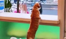 在门口吵架吃瓜