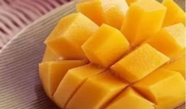 吃瓜少女芒果酱,揭秘娱乐圈幕后故事