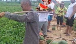 路边吃野瓜视频,一场视觉与味蕾的双重盛宴