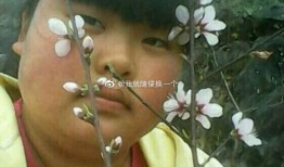 大神吃瓜视频,娱乐圈幕后真相大曝光