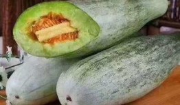吃瓜群众甜瓜