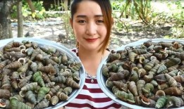 美女吃螺肉泡瓜,美女品尝螺肉泡瓜，尽享夏日风情