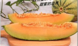 震撼的吃瓜,揭秘娱乐圈幕后真相