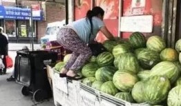 大妈吃瓜叫什么,揭秘娱乐圈幕后风云