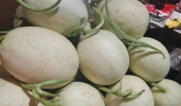 顶流吃瓜幕后,娱乐圈风云再起